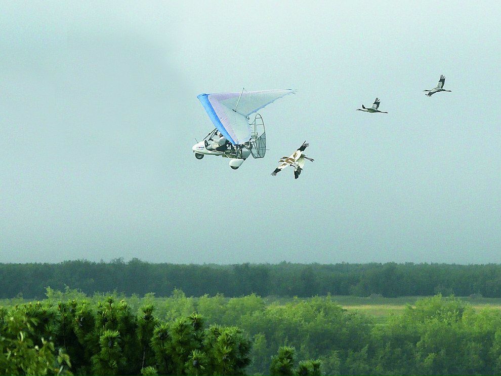 Дмитрий Щур фотография #10