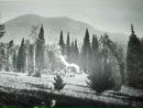 Niccolò Nannucci фотография #39 (источник - https://vk.com/id52099585)