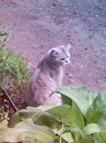 Діана Ставка фотография #36 (источник - https://vk.com/id166687039)