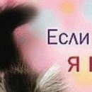 Viki @@@@@@@@@ фотография #9 (источник - https://vk.com/id141663195)