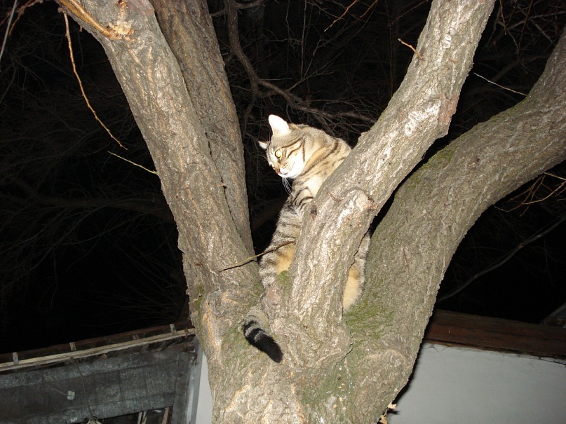 Ян Стулов фотография #34