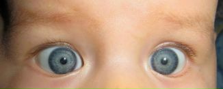 Фотография Саленков Владимир