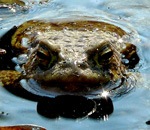 Фотография Кормачевой Александры