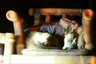 Фотография Макаровой Татьяны