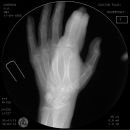 Фотография Kurasova Ulyana