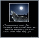 Андрій Ріпак фотография #23 (источник - https://vk.com/id37923281)