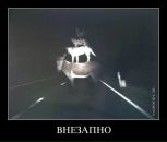 Дмитрий Зацепин фотография #36 (источник - https://vk.com/id2664635)