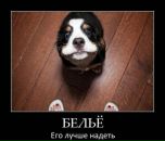 Фотография Обухова Алексея