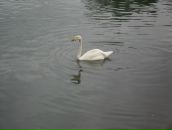 Александр Помешкин фотография #6 (источник - https://vk.com/id36335513)