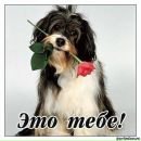 Дмитрий Полежаев фотография #36 (источник - https://vk.com/id763003)