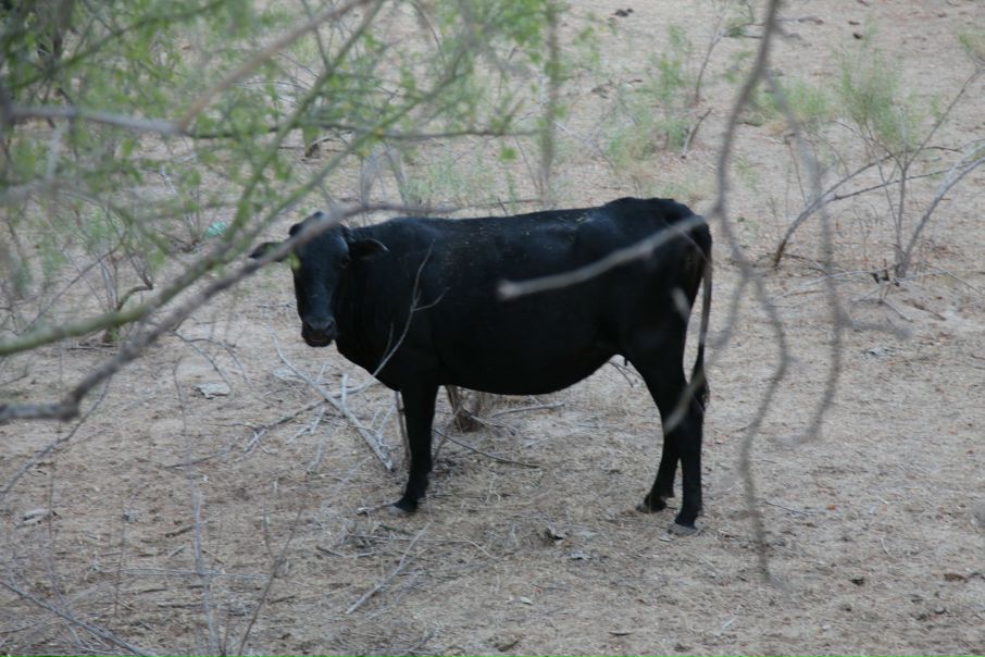 Джейн Эйр фото №4