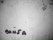 Фотография Зайцевской Насти