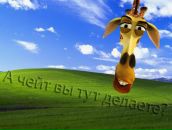 Фотография Сергеевич Евгений