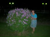 Фотография Сипетова (колосай) Натальи