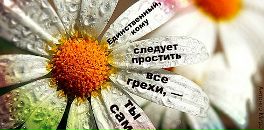 Ольга Вакуленко фотография #4 (источник - https://vk.com/id192801)