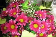 Фотография Ханцевич Екатерины