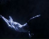 Фотография Агарковой Анастасии