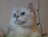 Фотография Муниной Нурии