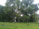 Віра Підгородецька фотография #25 (источник - https://vk.com/id146406428)