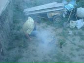 Діма Пугачов фотография #38 (источник - https://vk.com/id64635075)