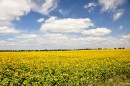 Фотография Дубровской Милены