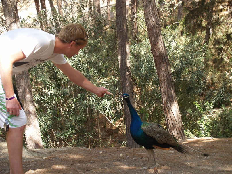 Сергей Щепров фотография #6