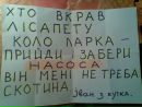 Stas ___ фотография #5 (источник - https://vk.com/id152039312)