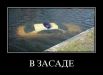  фотография #38
