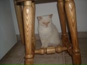 Софія Лицур фотография #42 (источник - https://vk.com/id39724621)