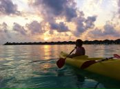 Фотография Соколовой Алеси