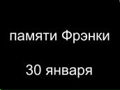 Фотография Шевченко Александры