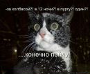 Фотография Соловьёвой Екатерины