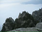 Фотография Шевченко Сергея