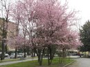 Стефанія Архитко фотография #34 (источник - https://vk.com/id142200483)