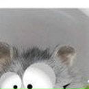 Анатолій Кривіцький фотография #21 (источник - https://vk.com/id68400532)