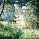 Уладзімір Мацюшэнко фотография #18 (источник - https://vk.com/id10360954)