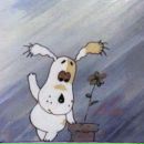 Фотография Jj Sonya