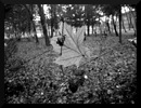 Попіл Троянди фотография #37 (источник - https://vk.com/id143507065)