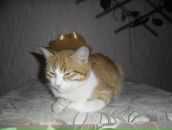 Фотография Изидоровой Наташи