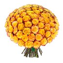 Κсения Βласова фотография #19 (источник - https://vk.com/id166448391)