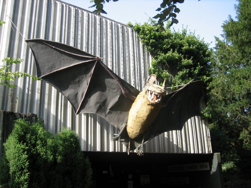 Дмитрий Попов фотография #45