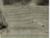 Никита Балахтар фотография #34 (источник - https://vk.com/id93155332)