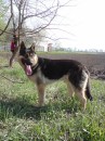 Діма Кротенко фотография #23 (источник - https://vk.com/id14666633)