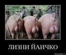 Фотография Варламова Константина