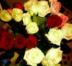 Фотография Пашиной Алиночки