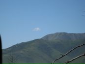 Степан Піцюра фотография #43 (источник - https://vk.com/id10167653)