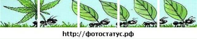 Віталій Кіт фотография #44 (источник - https://vk.com/id62590968)