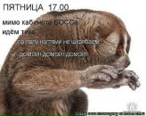 Фотография Сухих Елены