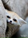 Фотография Костамо Оксаны