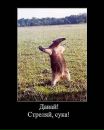 Олексій Фарина фотография #37 (источник - https://vk.com/id57227092)